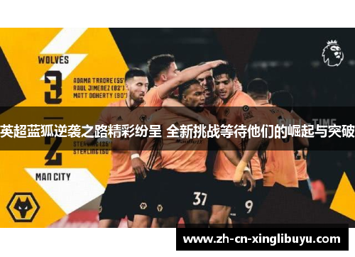 英超蓝狐逆袭之路精彩纷呈 全新挑战等待他们的崛起与突破