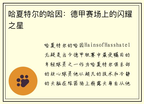 哈夏特尔的哈因：德甲赛场上的闪耀之星